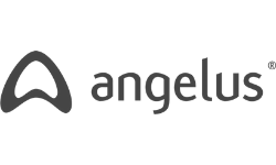 Angelus